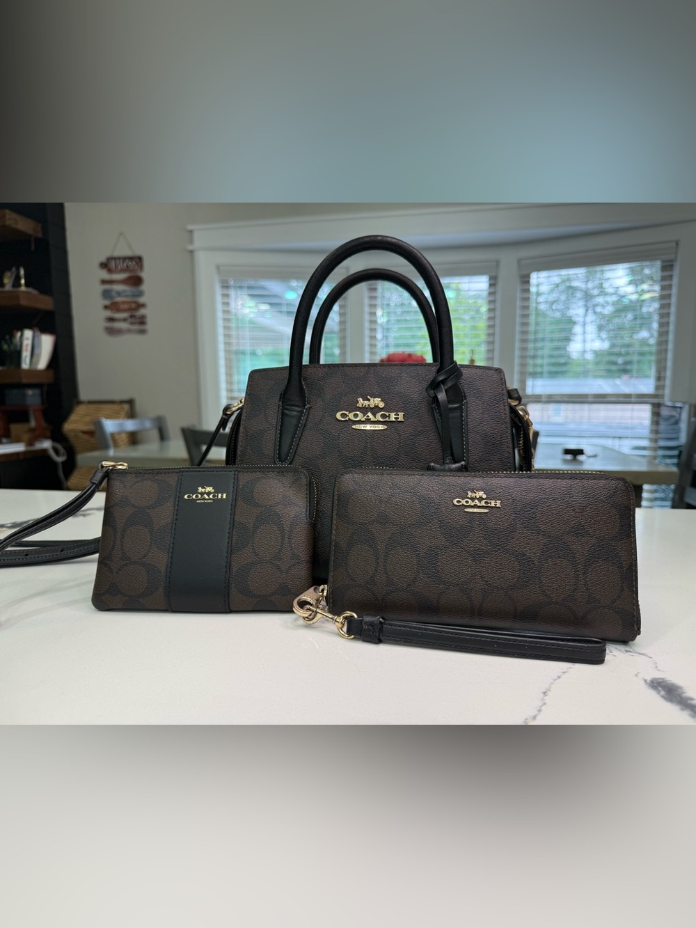 Coach Andrea Carryall+ Wallet+ Wristlet